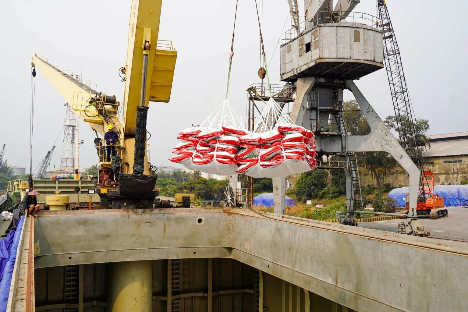 Xuất khẩu tăng tốc sớm- Ảnh 1.