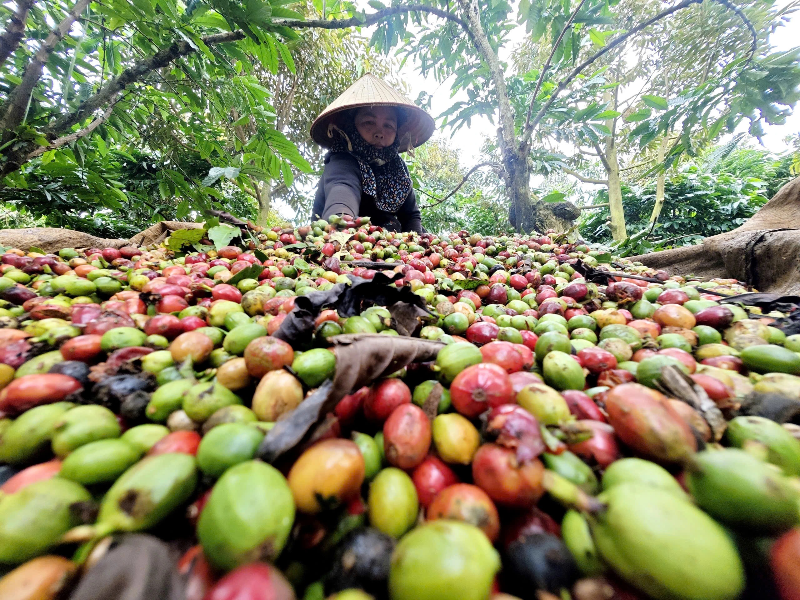 Xuất khẩu tăng tốc sớm- Ảnh 2.