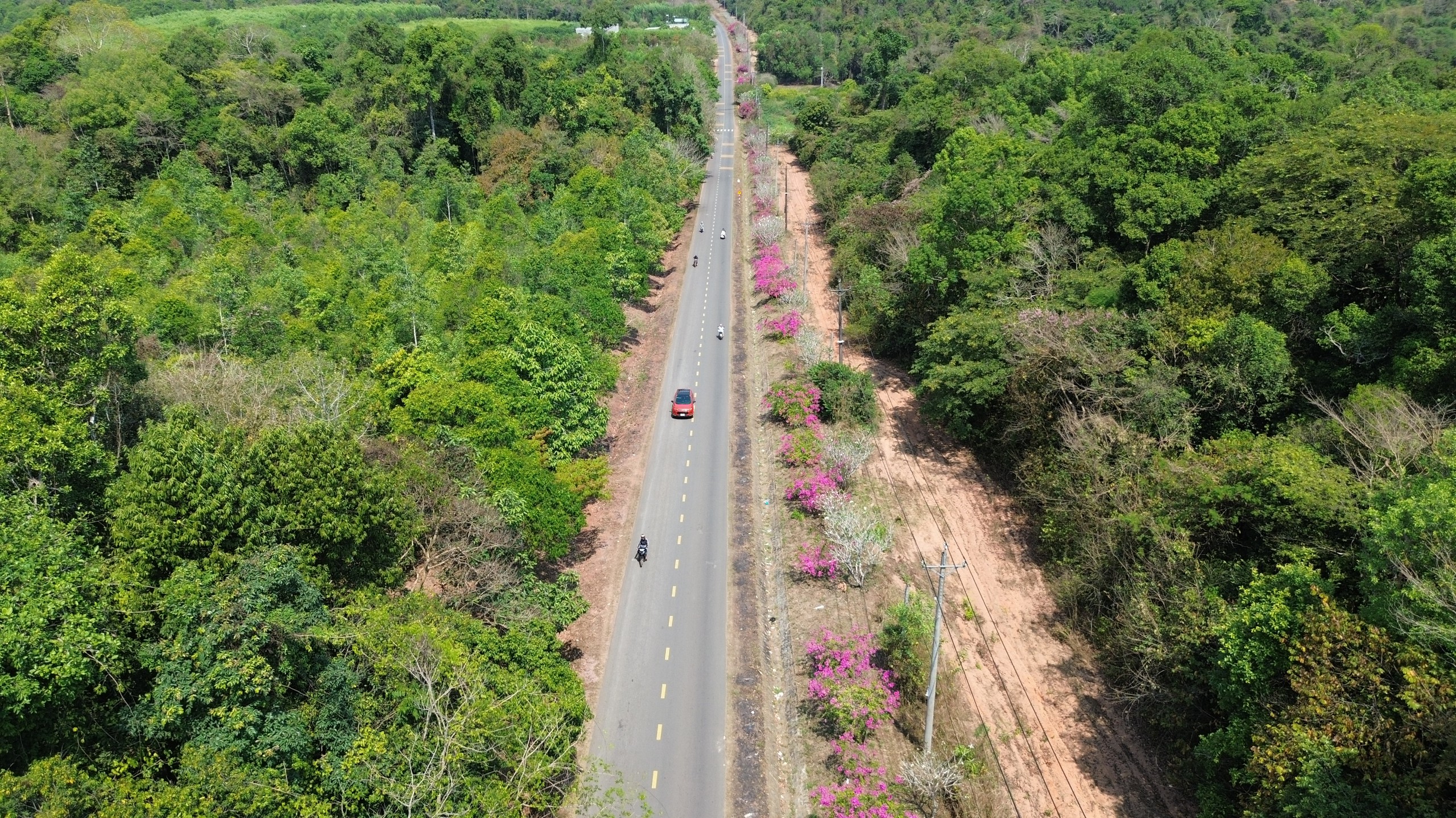 Ng&agrave;y đầu xu&acirc;n, đường v&agrave;o chiến khu D rực rỡ m&agrave;u hoa giấy. - Ảnh 3.