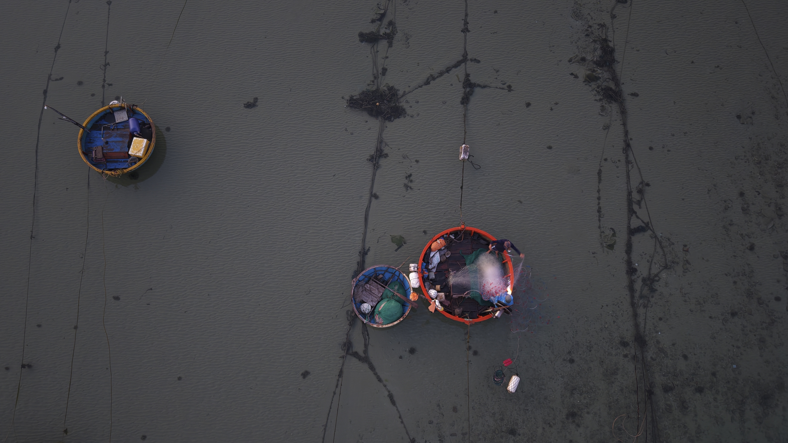 Xuyên đêm vươn khơi, ngư dân Quảng Ngãi đón 'lộc biển'- Ảnh 13. Xuyên đêm vươn khơi, ngư dân Quảng Ngãi đón 'lộc biển'- Ảnh 13.