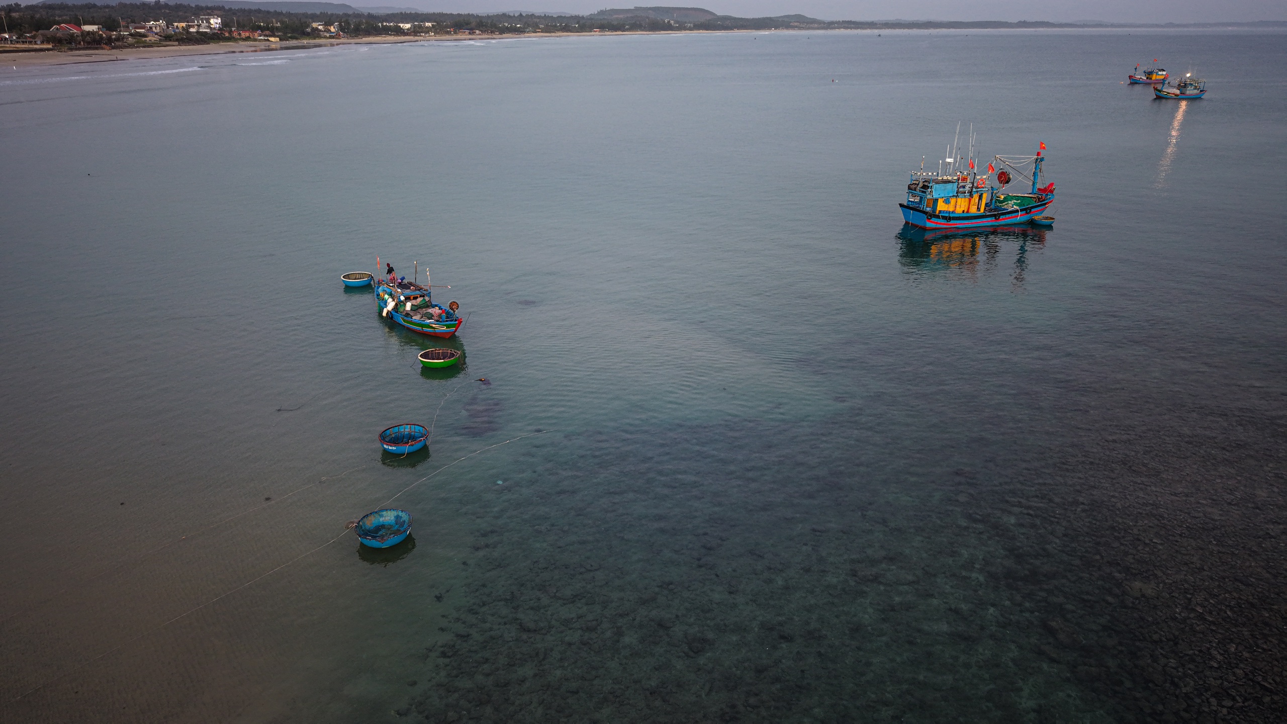 Xuyên đêm vươn khơi, ngư dân Quảng Ngãi đón 'lộc biển'- Ảnh 11. Xuyên đêm vươn khơi, ngư dân Quảng Ngãi đón 'lộc biển'- Ảnh 11.
