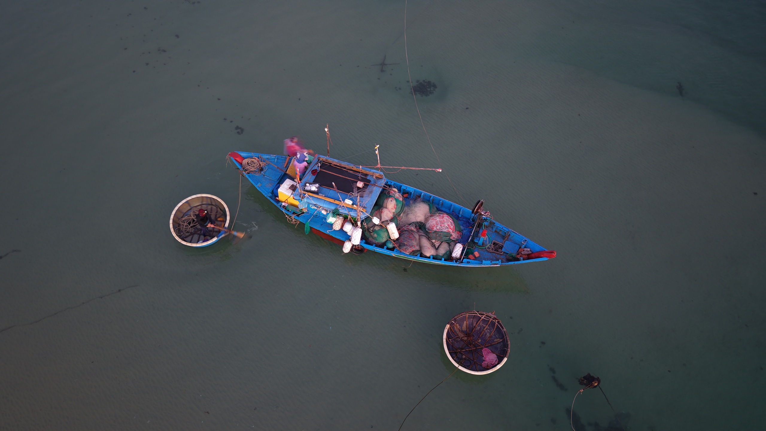 Xuyên đêm vươn khơi, ngư dân Quảng Ngãi đón 'lộc biển'- Ảnh 8. Xuyên đêm vươn khơi, ngư dân Quảng Ngãi đón 'lộc biển'- Ảnh 8.