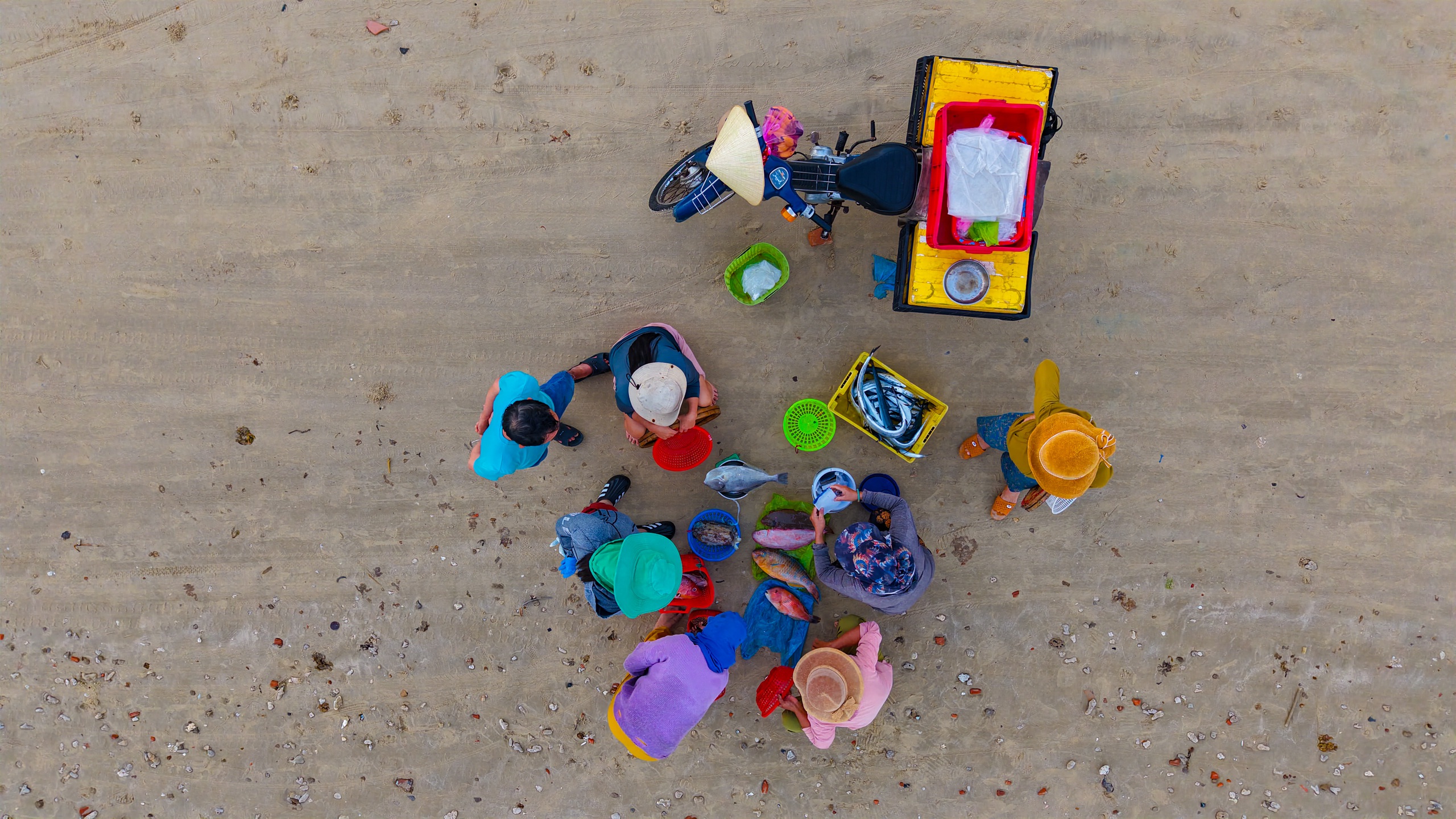 Xuyên đêm vươn khơi, ngư dân Quảng Ngãi đón 'lộc biển'- Ảnh 12. Xuyên đêm vươn khơi, ngư dân Quảng Ngãi đón 'lộc biển'- Ảnh 12.