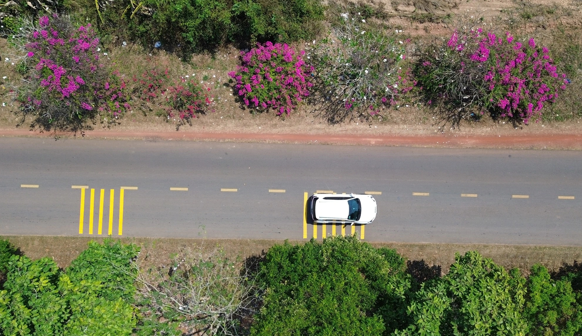 Ng&agrave;y đầu xu&acirc;n, đường v&agrave;o chiến khu D rực rỡ m&agrave;u hoa giấy. - Ảnh 2.