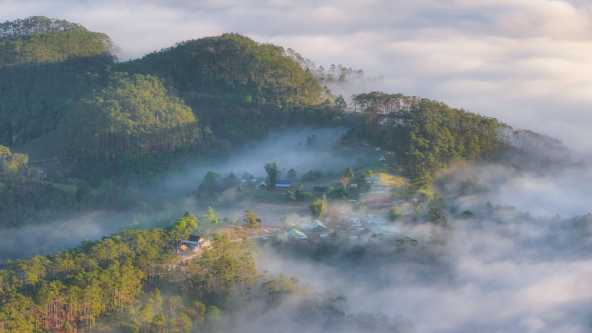 Tết ở Măng Đen: Lên núi cao đón bình minh, săn mây- Ảnh 7. Tết ở Măng Đen: Lên núi cao đón bình minh, săn mây- Ảnh 7.