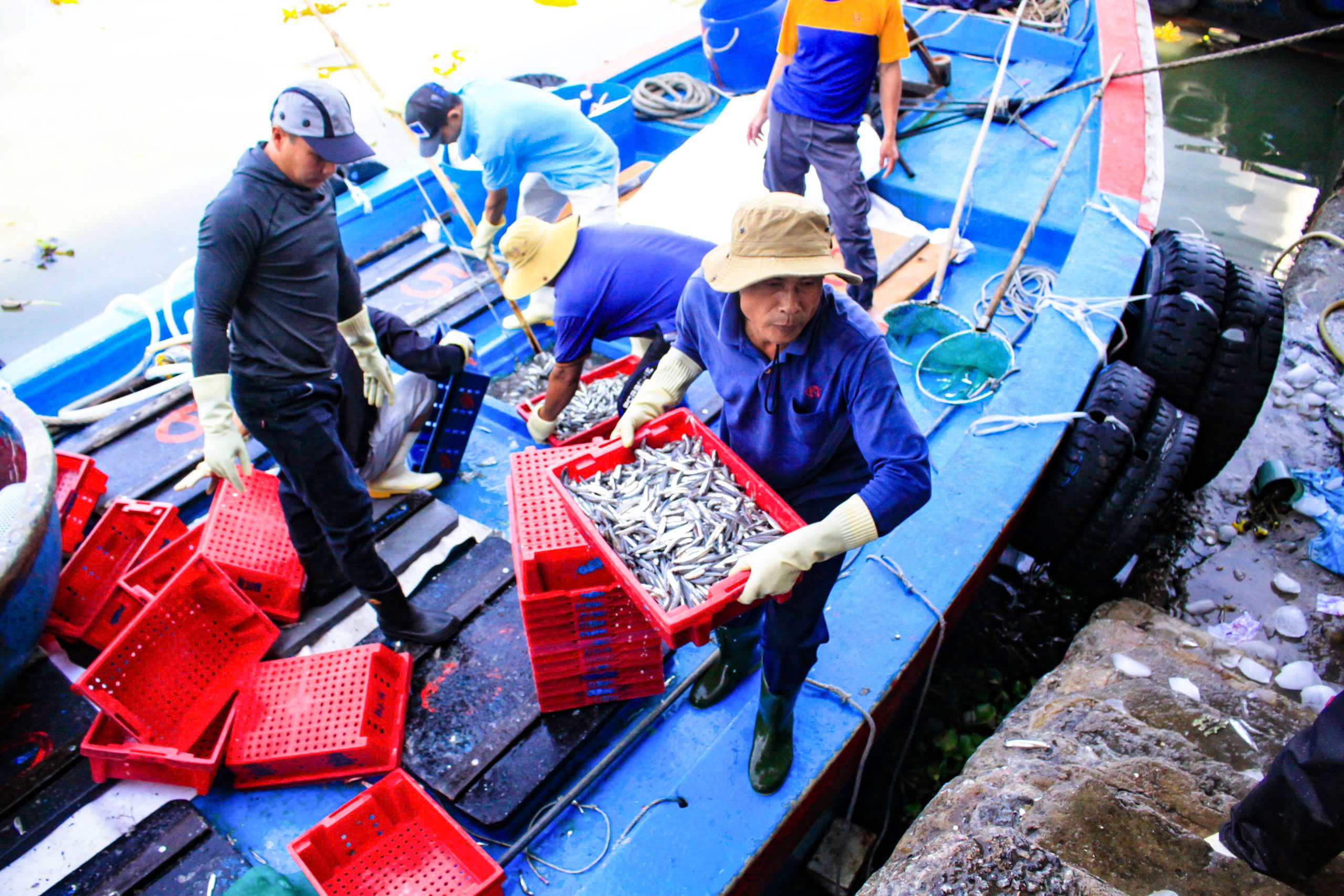 Xuyên đêm vươn khơi, ngư dân Quảng Ngãi đón 'lộc biển'- Ảnh 6. Xuyên đêm vươn khơi, ngư dân Quảng Ngãi đón 'lộc biển'- Ảnh 6.