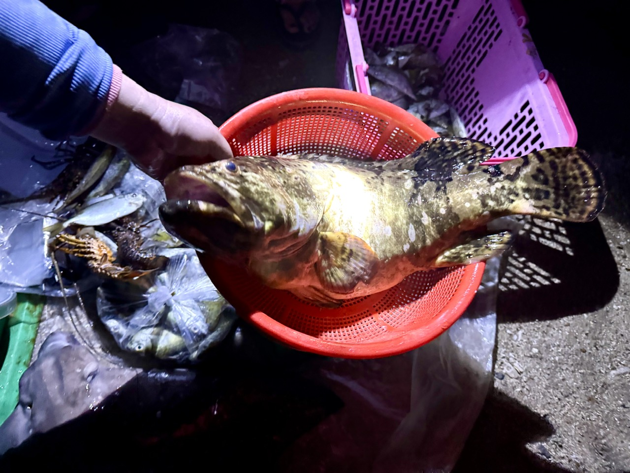 Xuyên đêm vươn khơi, ngư dân Quảng Ngãi đón 'lộc biển'- Ảnh 10. Xuyên đêm vươn khơi, ngư dân Quảng Ngãi đón 'lộc biển'- Ảnh 10.