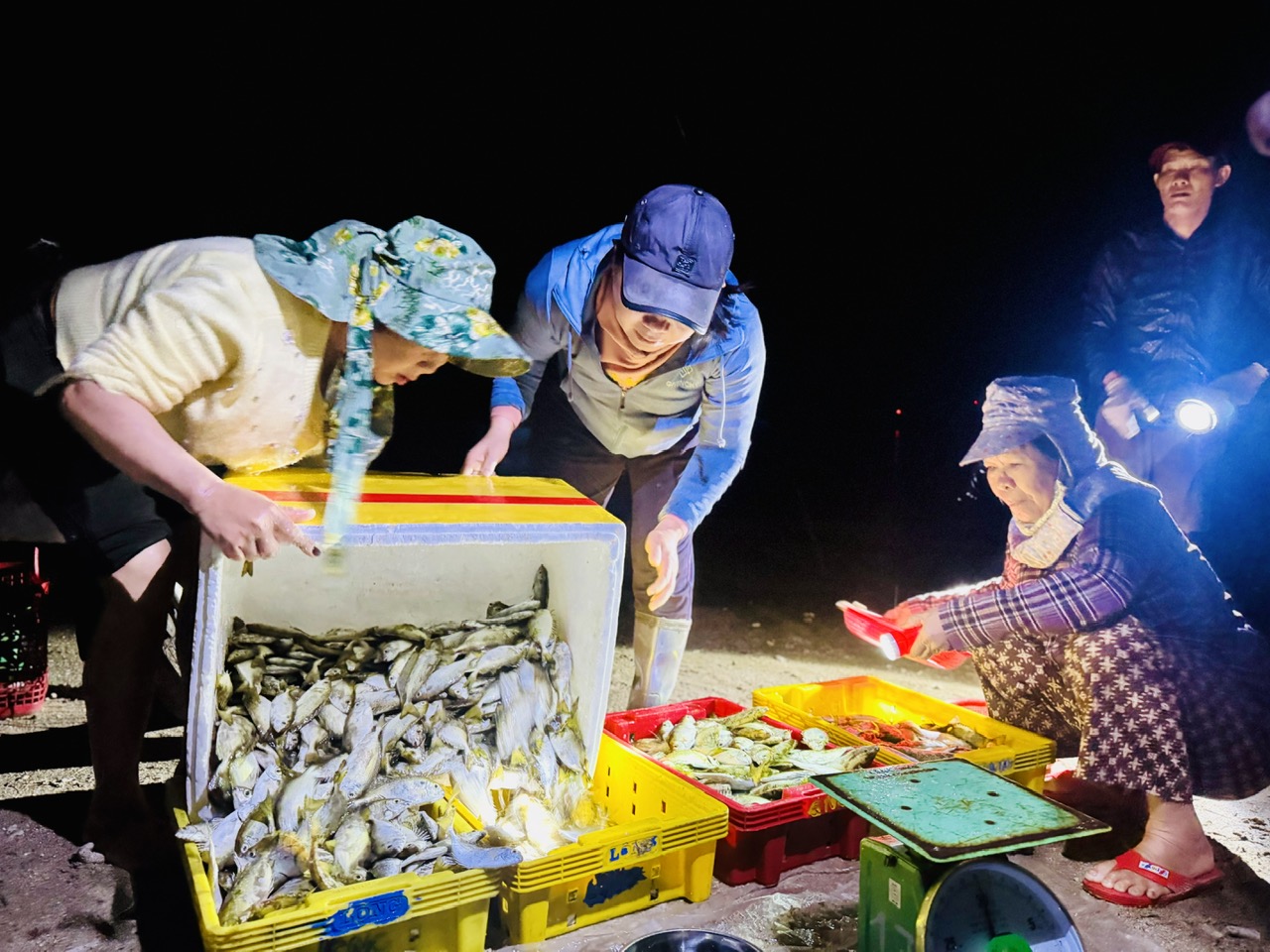 Xuyên đêm vươn khơi, ngư dân Quảng Ngãi đón 'lộc biển'- Ảnh 2. Xuyên đêm vươn khơi, ngư dân Quảng Ngãi đón 'lộc biển'- Ảnh 2.