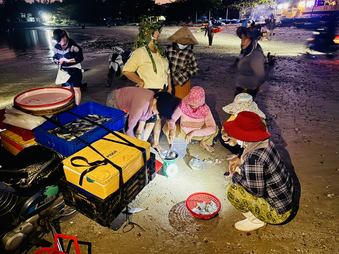 Xuyên đêm vươn khơi, ngư dân Quảng Ngãi đón 'lộc biển'- Ảnh 9. Xuyên đêm vươn khơi, ngư dân Quảng Ngãi đón 'lộc biển'- Ảnh 9.