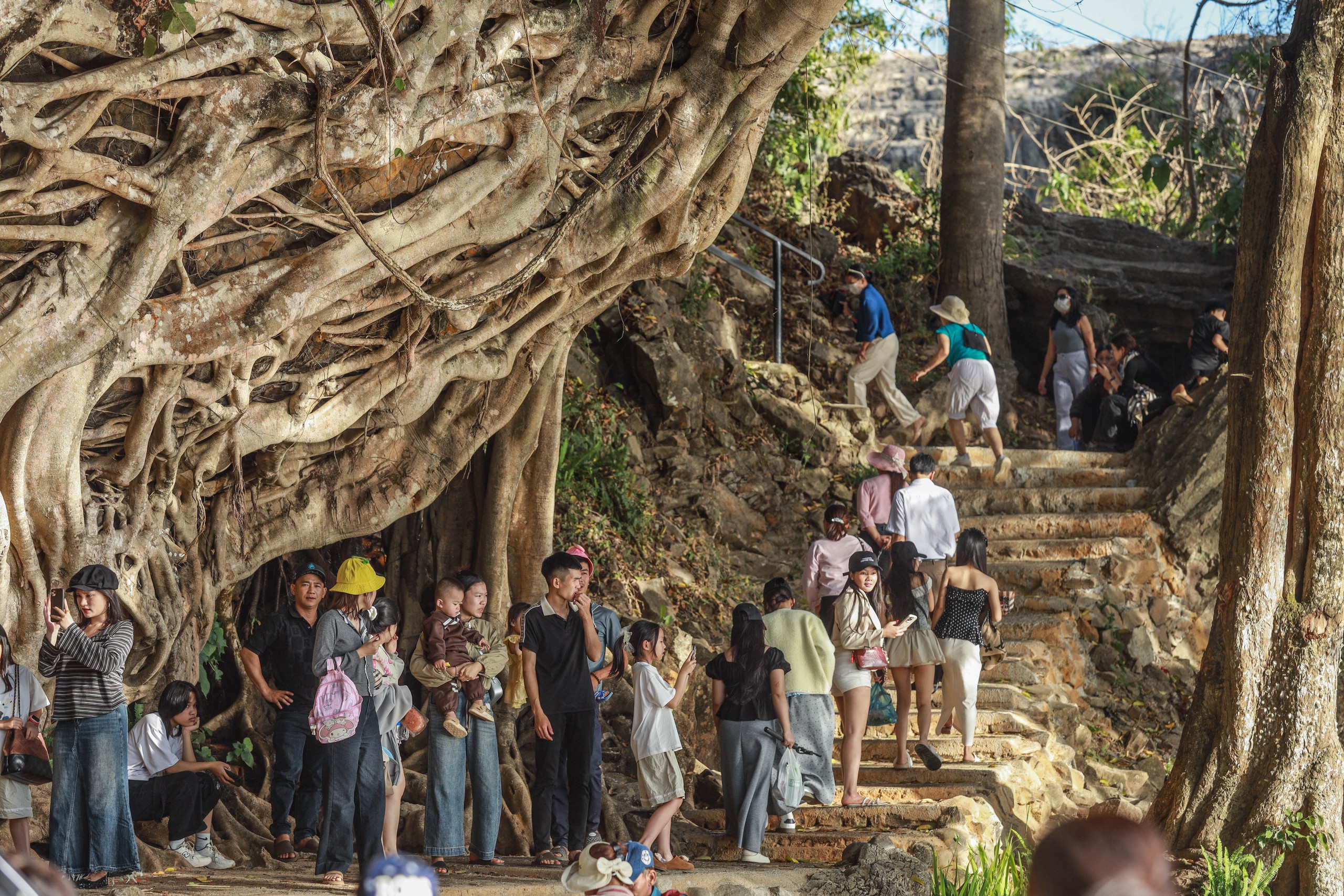 Thác Dray Nur hồi sinh ngoạn mục sau bão lũ , đón xuân Bính Ngọ 2026 - Ảnh 2. Thác Dray Nur hồi sinh ngoạn mục sau bão lũ , đón xuân Bính Ngọ 2026 - Ảnh 2.