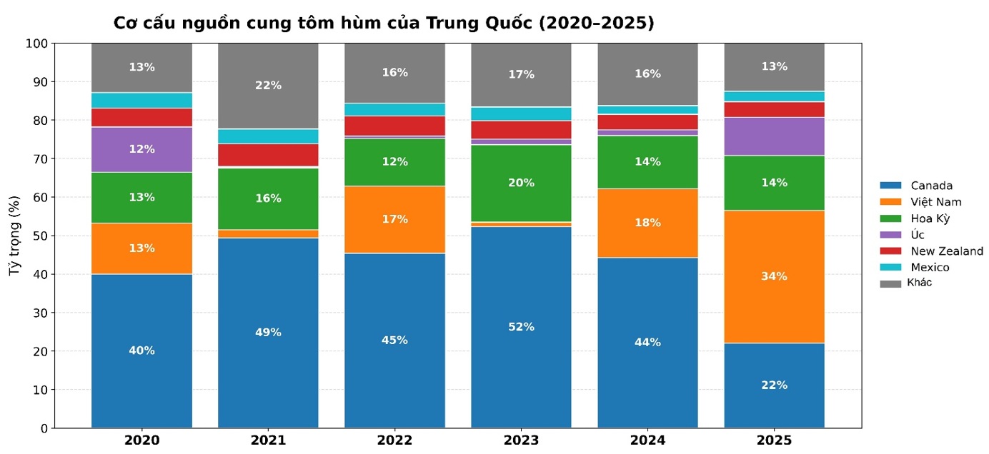 Vượt Mỹ và Canada, Việt Nam là nhà cung cấp tôm hùm số 1 cho Trung Quốc- Ảnh 2.
