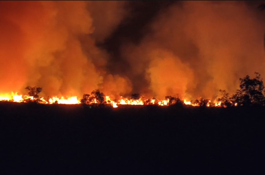 Cháy rừng nơi từng sếu đầu đỏ về ở An Giang - Ảnh 2.