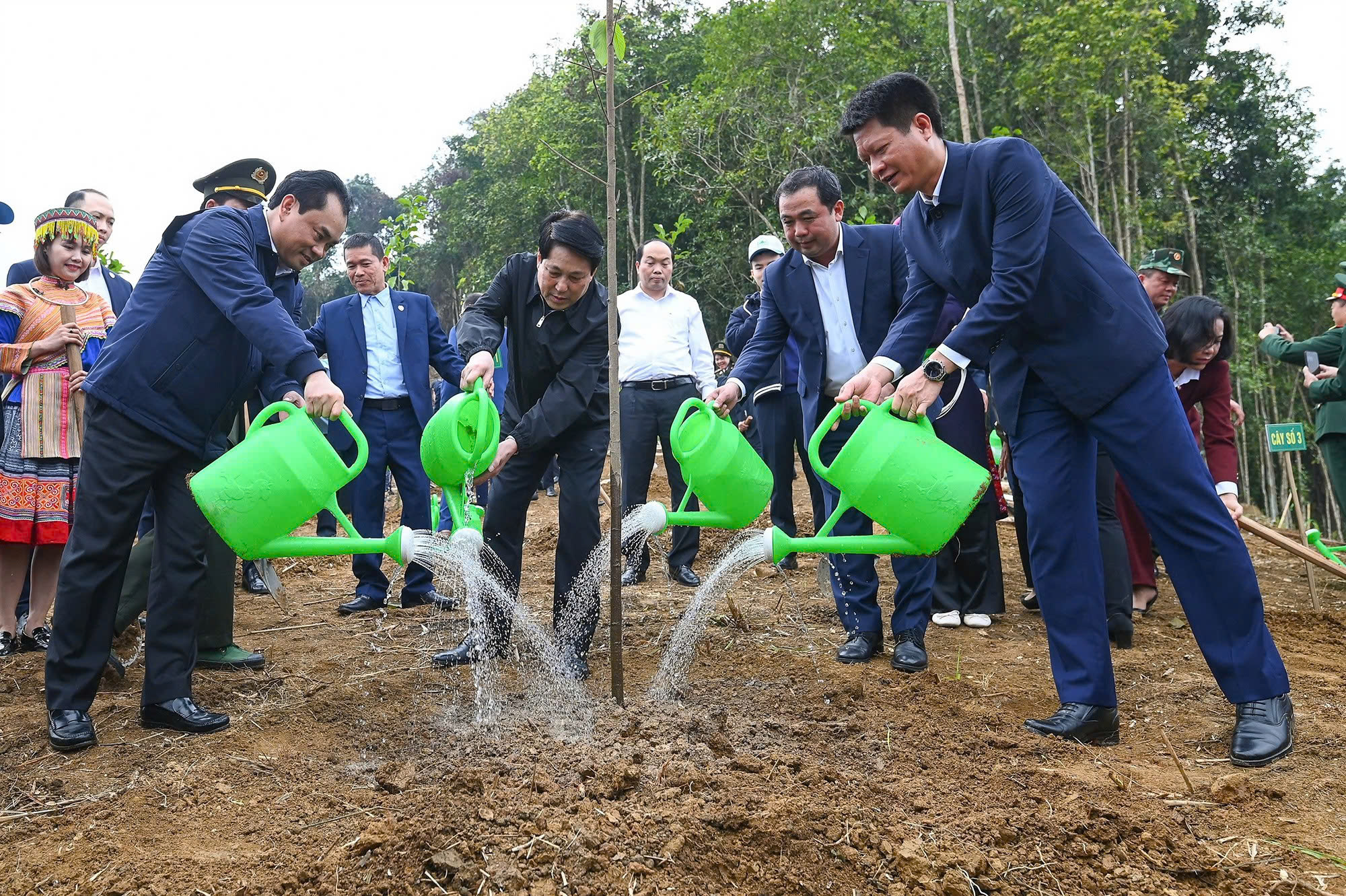 Chủ tịch nước Lương Cường: Tết trồng cây lan tỏa trách nhiệm bảo vệ môi trường- Ảnh 1.