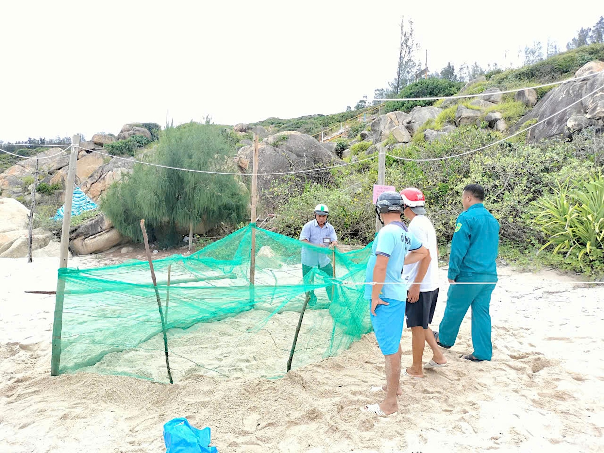 Nơi san h&ocirc; nảy chồi v&agrave; r&ugrave;a biển t&aacute;i xuất- Ảnh 4.