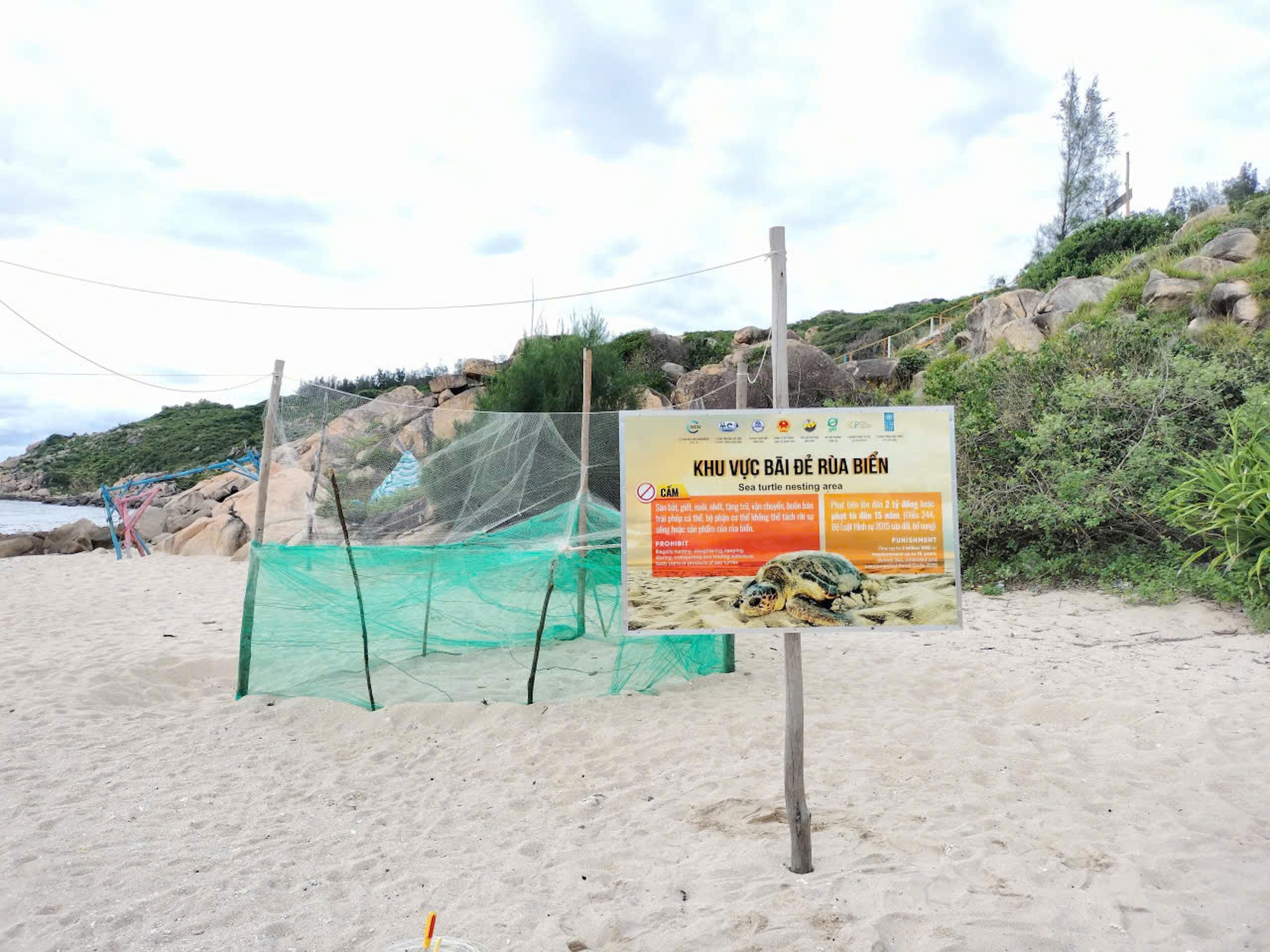 Nơi san h&ocirc; nảy chồi v&agrave; r&ugrave;a biển t&aacute;i xuất- Ảnh 5.