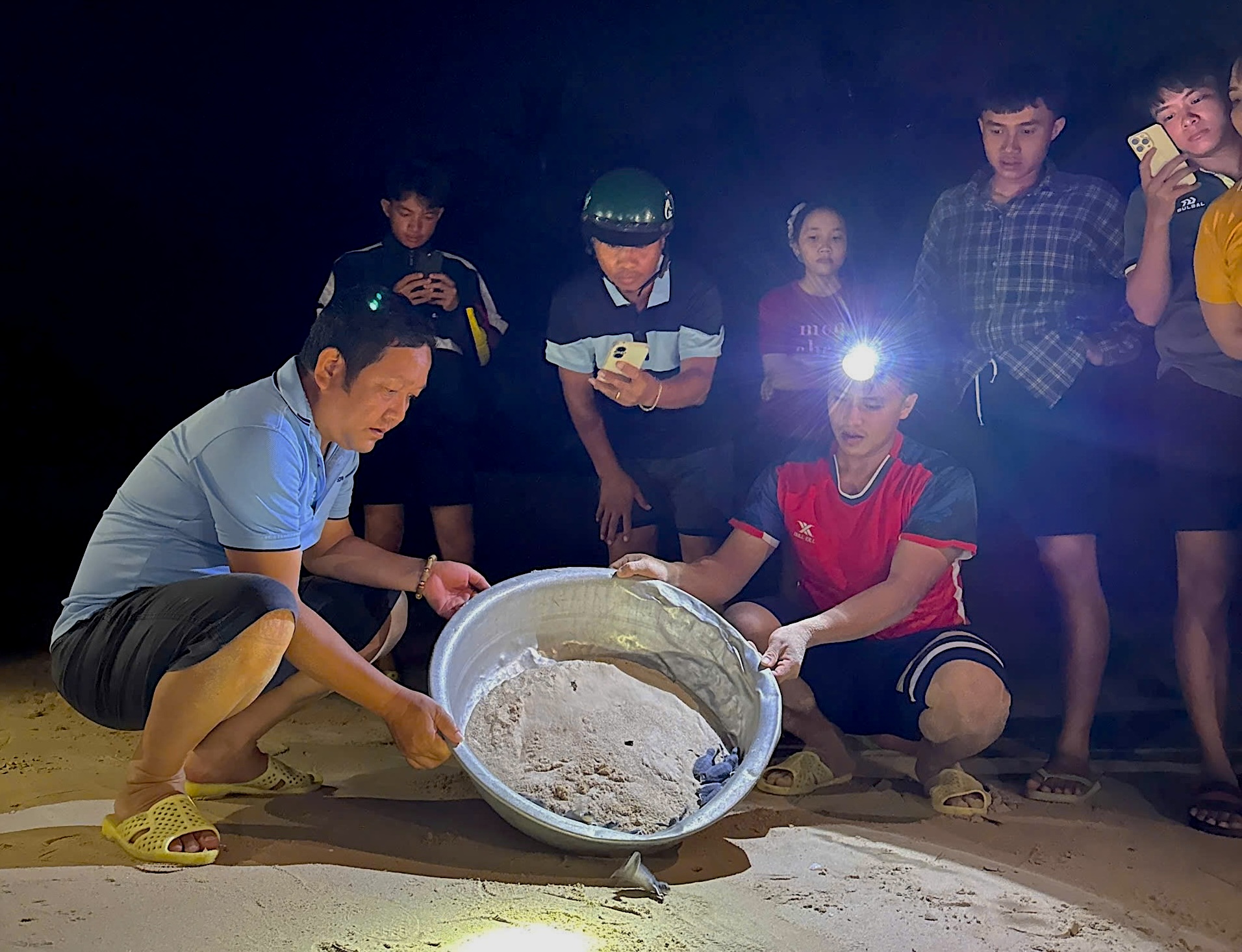 Nơi san h&ocirc; nảy chồi v&agrave; r&ugrave;a biển t&aacute;i xuất- Ảnh 7.