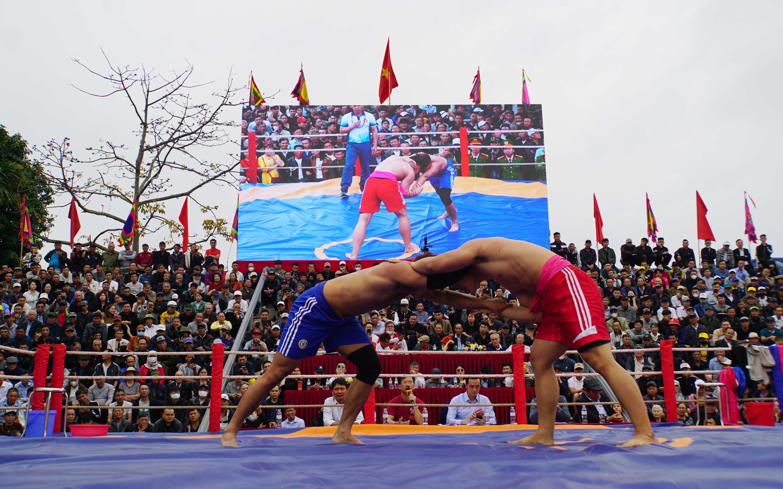 Sới vật gần 700 năm nóng rực đất cảng - Ảnh 1.