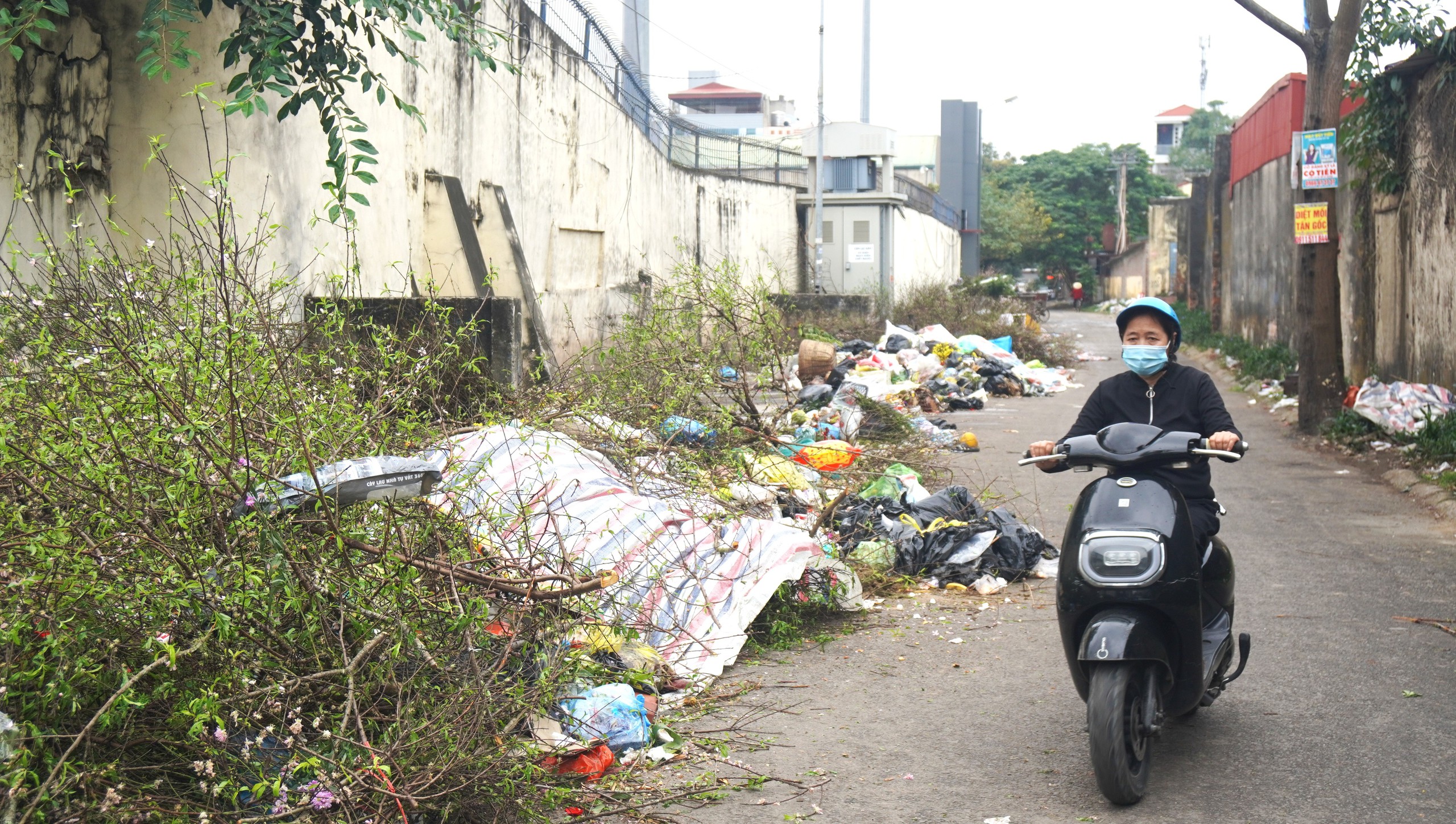 Rác thải chất thành đống ở các phường trung tâm Thanh Hóa- Ảnh 1. Rác thải chất thành đống ở các phường trung tâm Thanh Hóa- Ảnh 1.