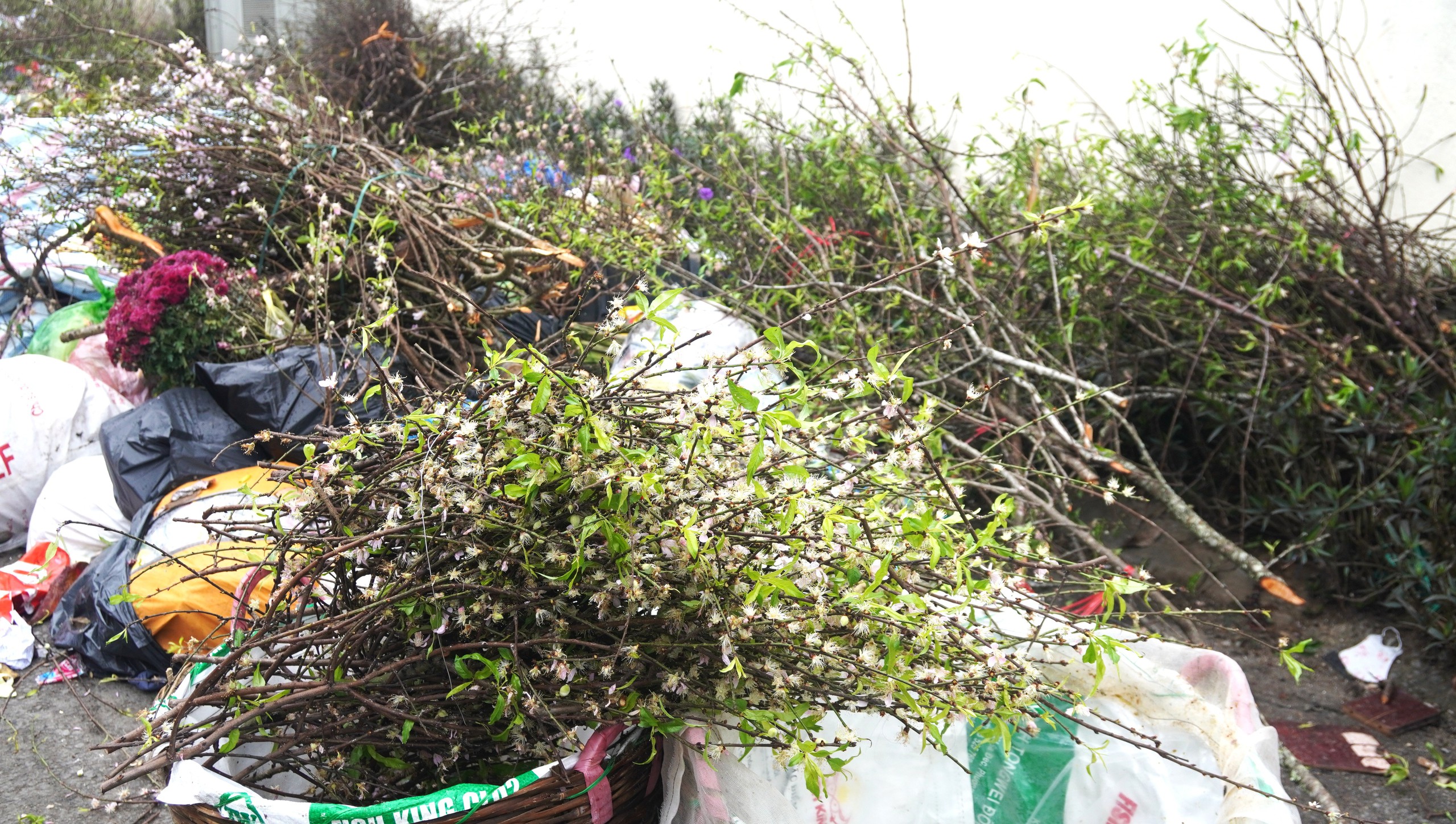 Rác thải chất thành đống ở các phường trung tâm Thanh Hóa- Ảnh 2. Rác thải chất thành đống ở các phường trung tâm Thanh Hóa- Ảnh 2.