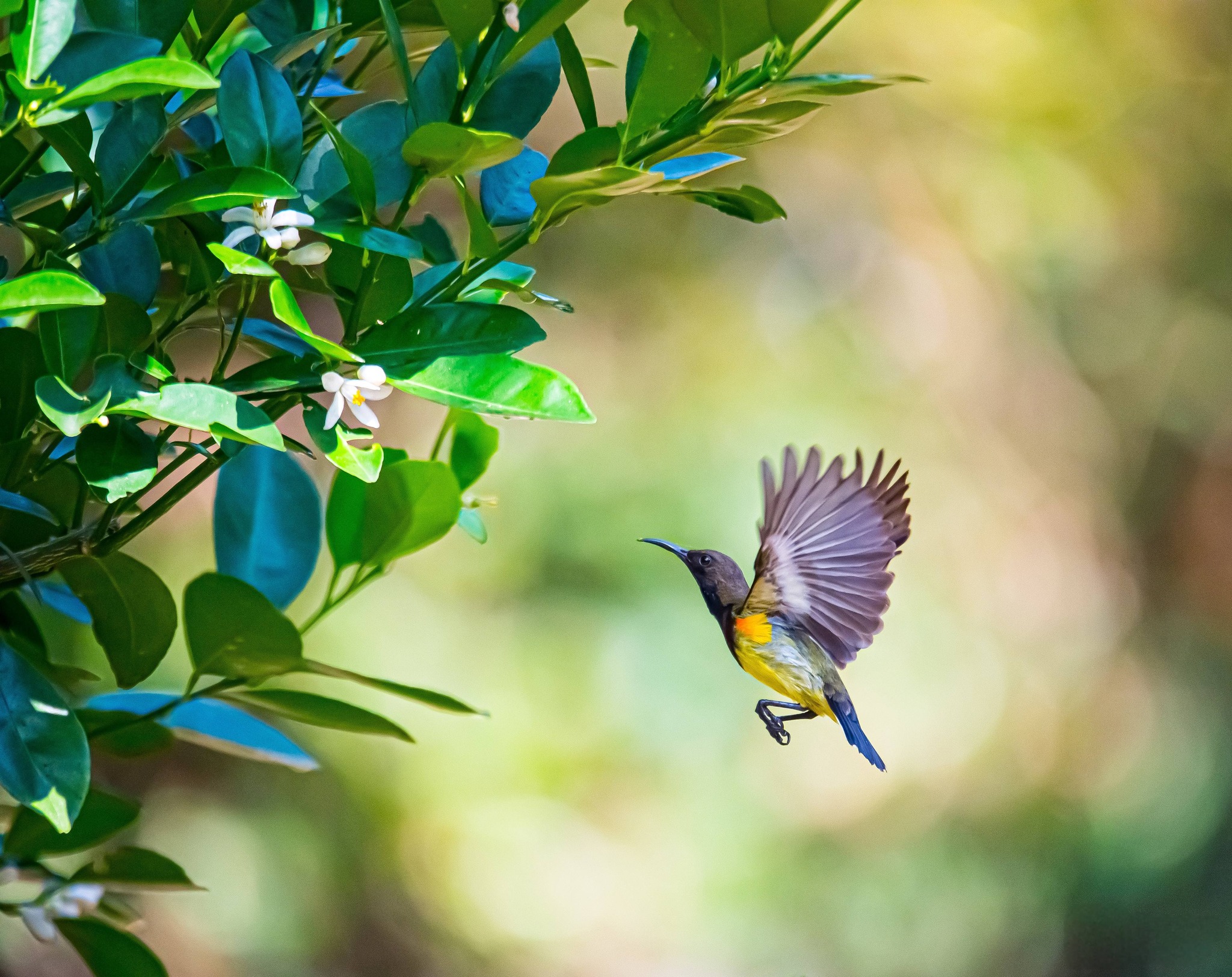 Tiết Vũ thủy kéo dài qua ngày Thần tài: Theo lịch âm, ngày mấy kết thúc?- Ảnh 2. Tiết Vũ thủy kéo dài qua ngày Thần tài: Theo lịch âm, ngày mấy kết thúc?- Ảnh 2.