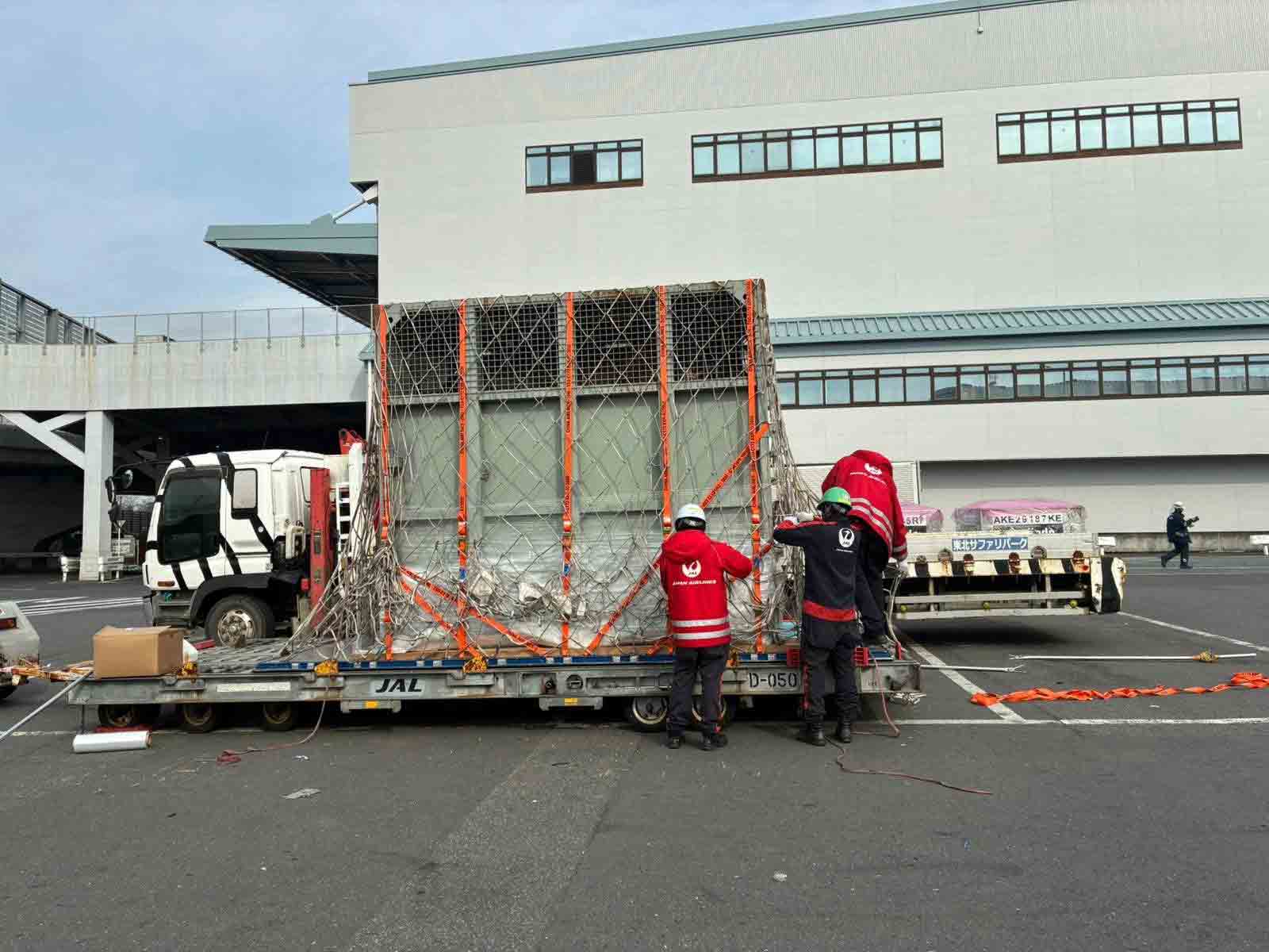 Chuyến hồi hương 'chưa từng có' của cá thể voi Lào- Ảnh 2. Chuyến hồi hương 'chưa từng có' của cá thể voi Lào- Ảnh 2.