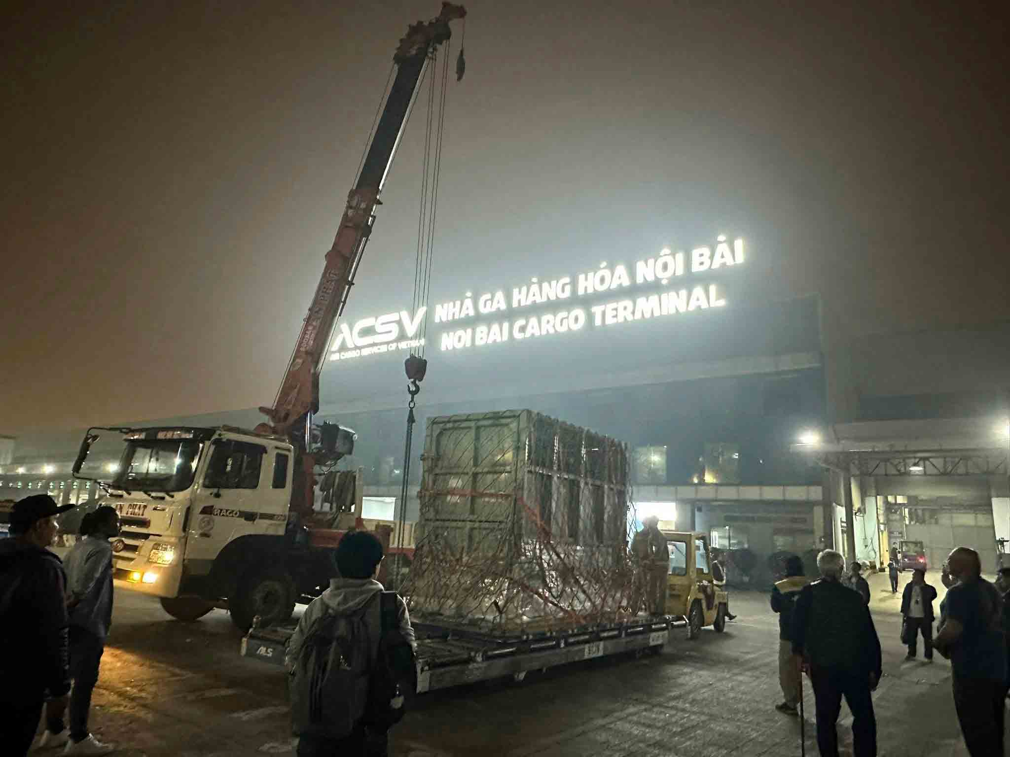 Chuyến hồi hương 'chưa từng có' của cá thể voi Lào- Ảnh 4. Chuyến hồi hương 'chưa từng có' của cá thể voi Lào- Ảnh 4.