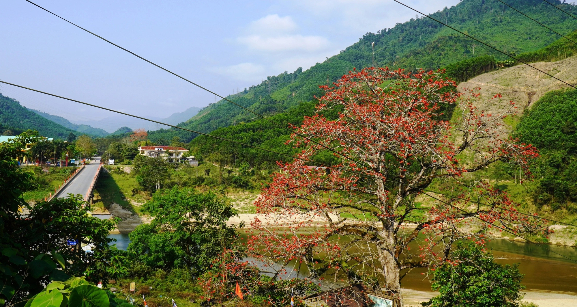 Đ&agrave; Nẵng: Hoa gạo rực đỏ thắp lửa k&yacute; ức nơi ng&atilde; ba Bến Giằng lịch sử - Ảnh 4.