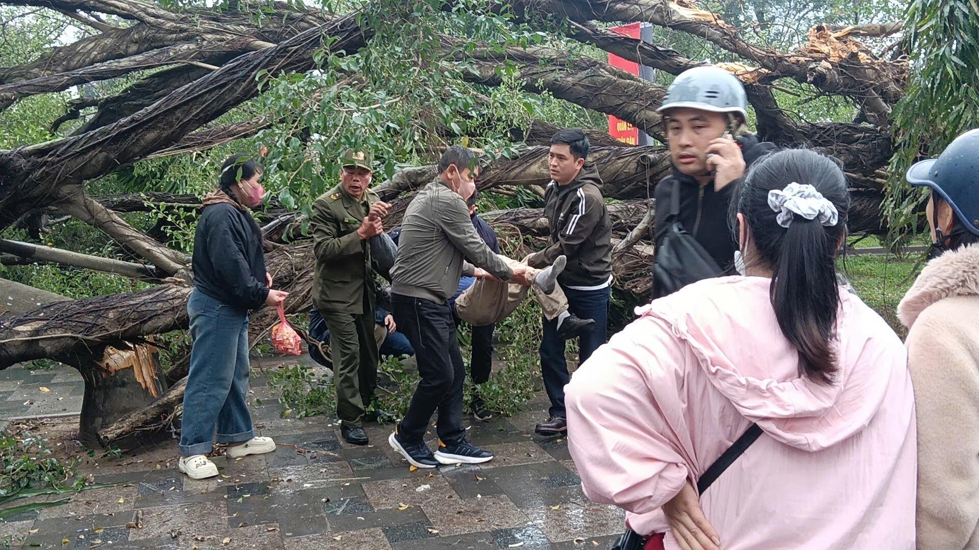 Hà Nội: Cây cổ thụ gãy đổ, đè 2 người bị thương- Ảnh 1.