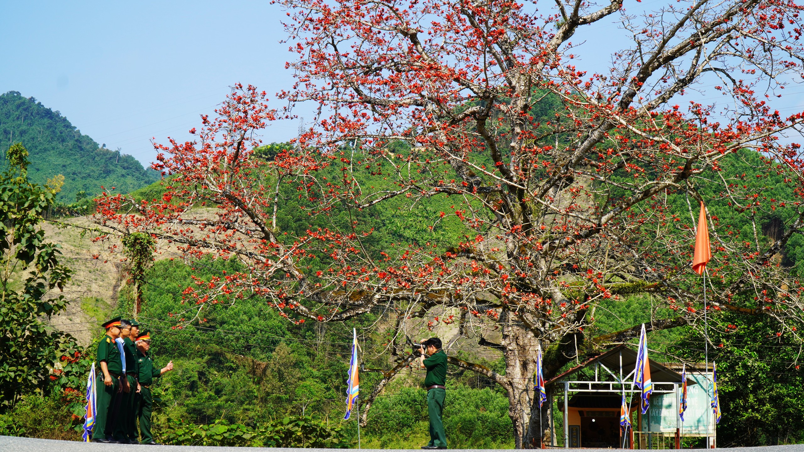 Đ&agrave; Nẵng: Hoa gạo rực đỏ thắp lửa k&yacute; ức nơi ng&atilde; ba Bến Giằng lịch sử - Ảnh 1.