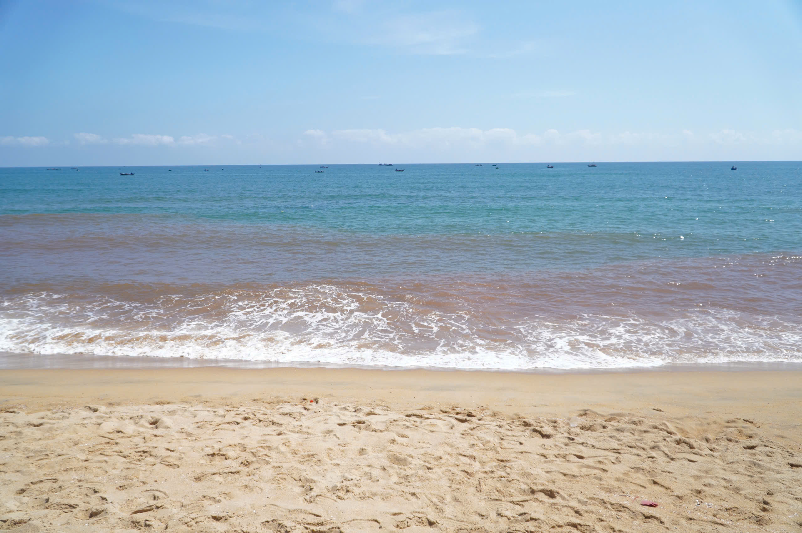 Thực hư hiện tượng thủy triều đỏ tại bãi biển Gia Lai- Ảnh 3.