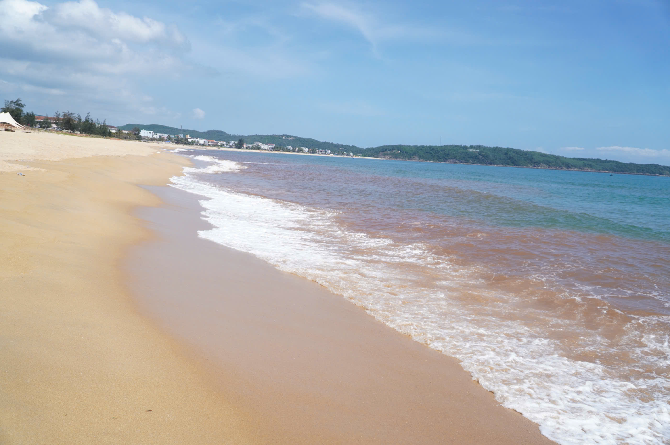 Thực hư hiện tượng thủy triều đỏ tại bãi biển Gia Lai- Ảnh 2.