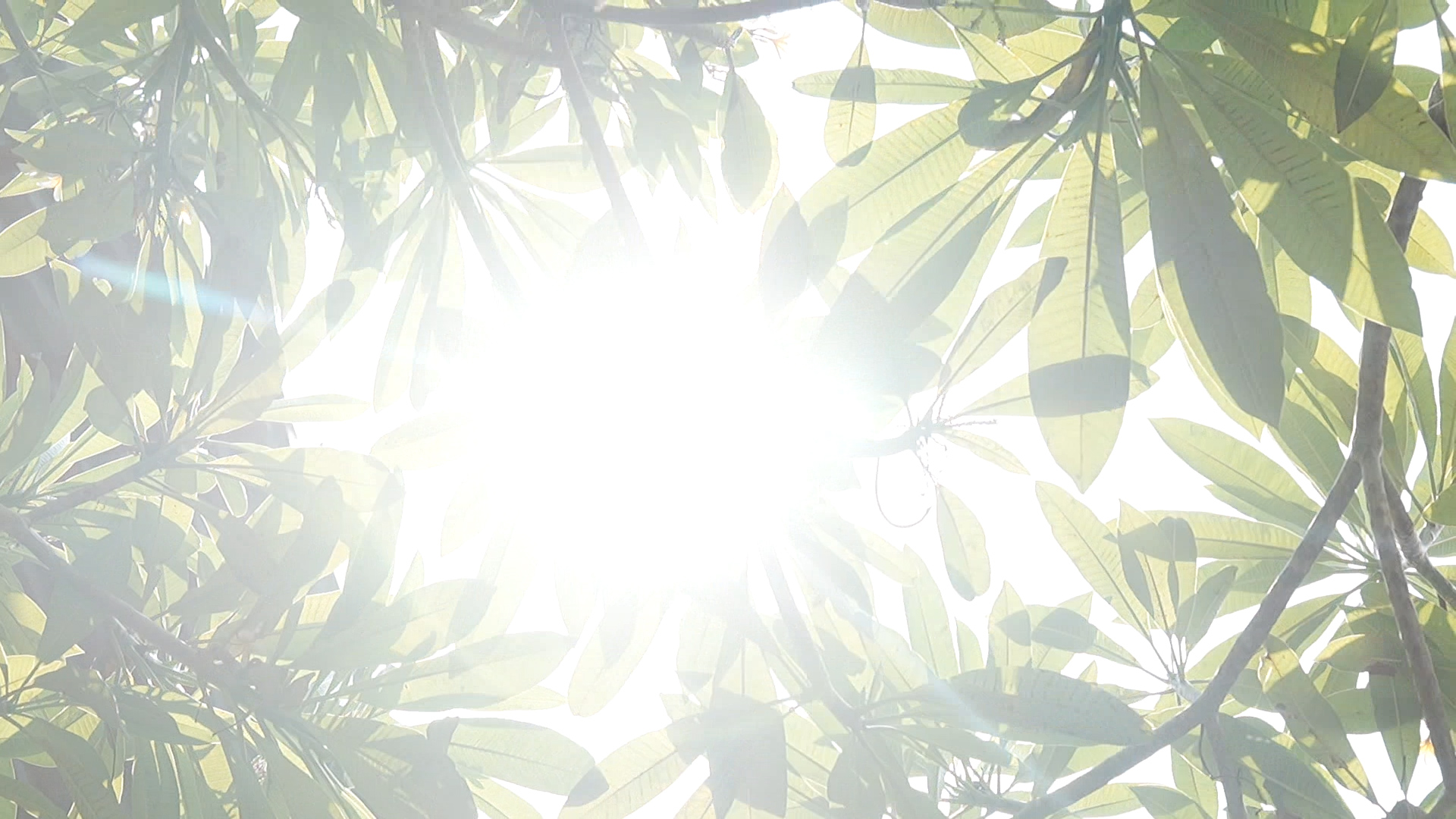 D&ograve;ng người đổ về ch&ugrave;a Ngọc Ho&agrave;ng ng&agrave;y v&iacute;a: Nắng gắt kh&ocirc;ng ngăn được l&ograve;ng th&agrave;nh - Ảnh 3.