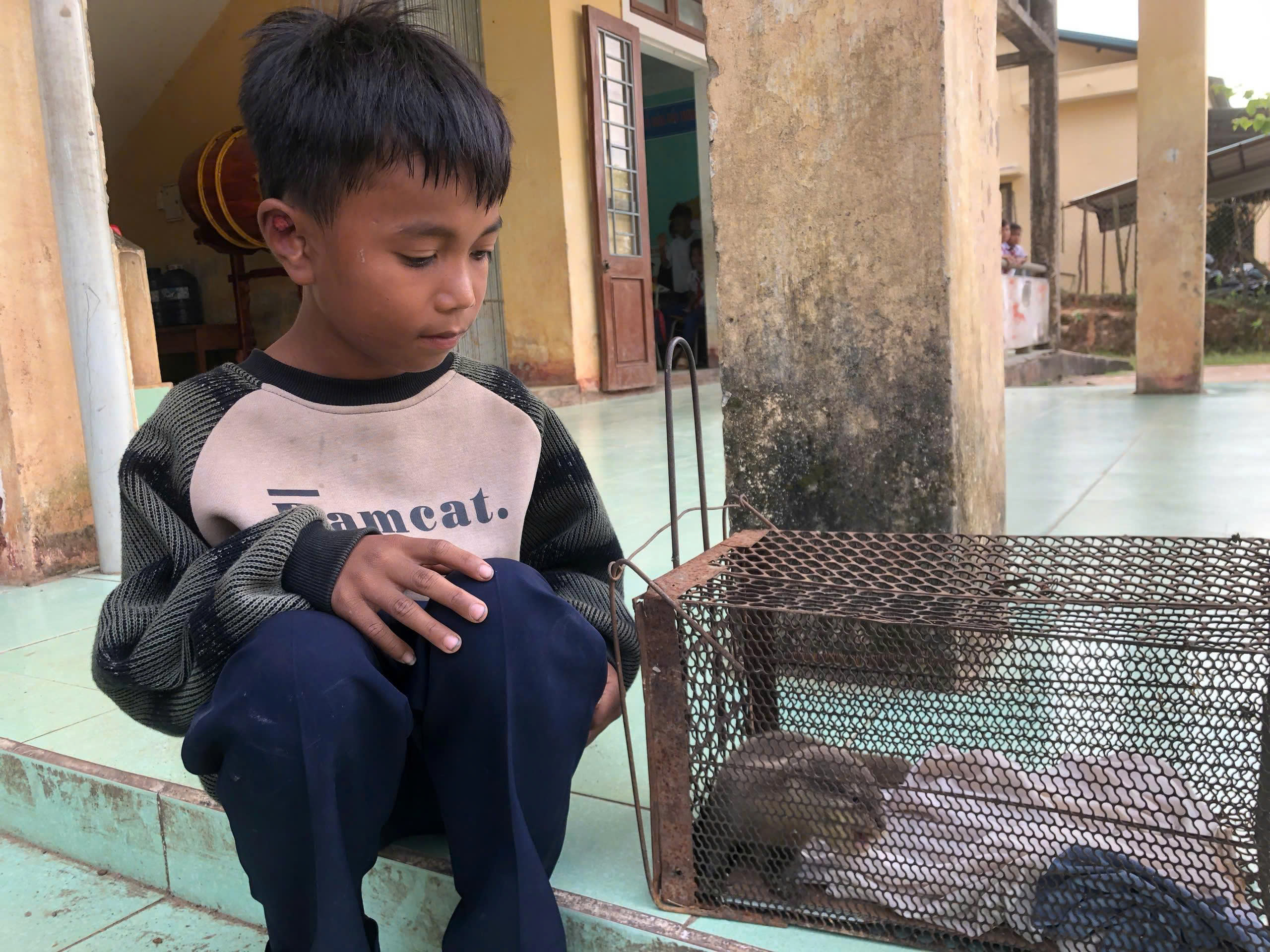 Quảng Trị: Học sinh lớp 4 giao nộp cá thể rái cá quý hiếm- Ảnh 1.