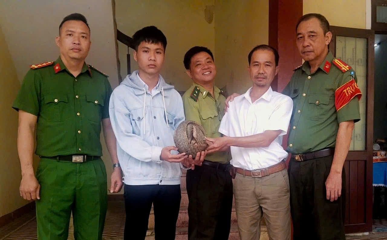 Bắt gặp tê tê bò trong vườn, nam sinh Đà Nẵng mang đến công an giao nộp- Ảnh 1.