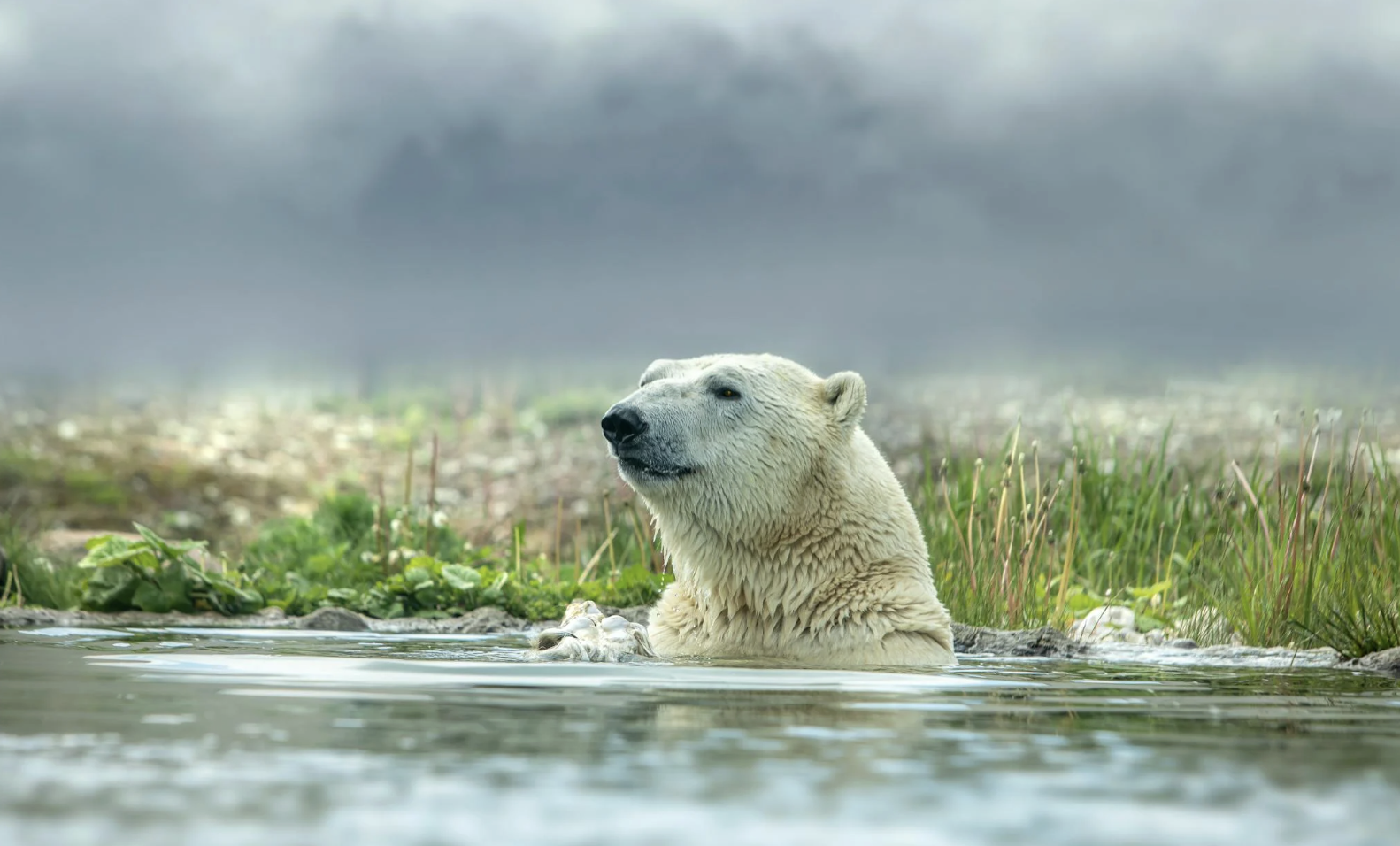 Ng&agrave;y 27.2 l&agrave; ng&agrave;y g&igrave; m&agrave; h&ocirc;m nay nhiều người đặc biệt quan t&acirc;m?  - Ảnh 2.
