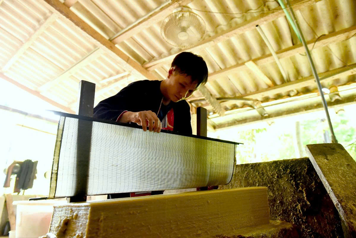 Giữ 'hồn' núi rừng trên giấy bản - Ảnh 3.