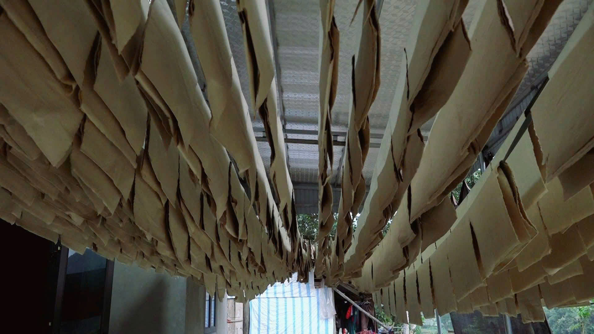 Giữ 'hồn' núi rừng trên giấy bản - Ảnh 4.