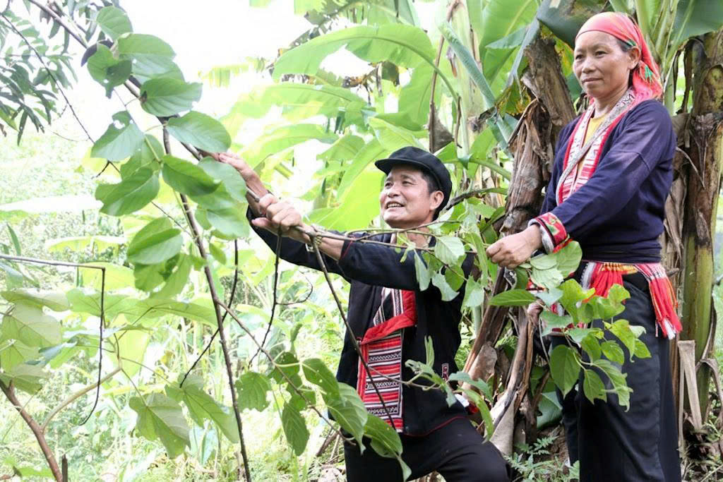 Giữ 'hồn' núi rừng trên giấy bản - Ảnh 2.