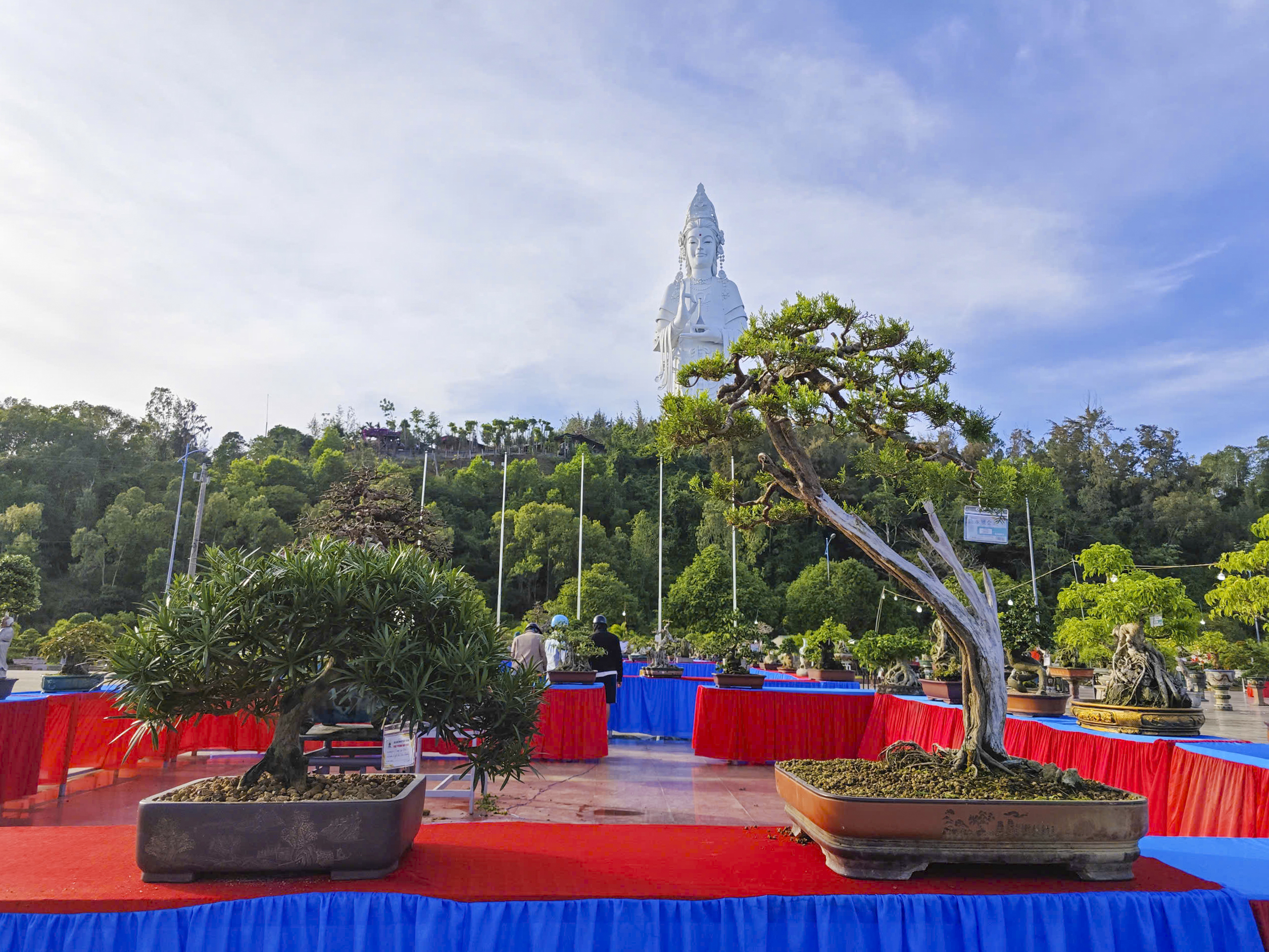 Cây sanh thế rồng độc lạ cao hơn 3 m thu hút tại triển lãm Quảng Ngãi 2026 - Ảnh 1. Cây sanh thế rồng độc lạ cao hơn 3 m thu hút tại triển lãm Quảng Ngãi 2026 - Ảnh 1.