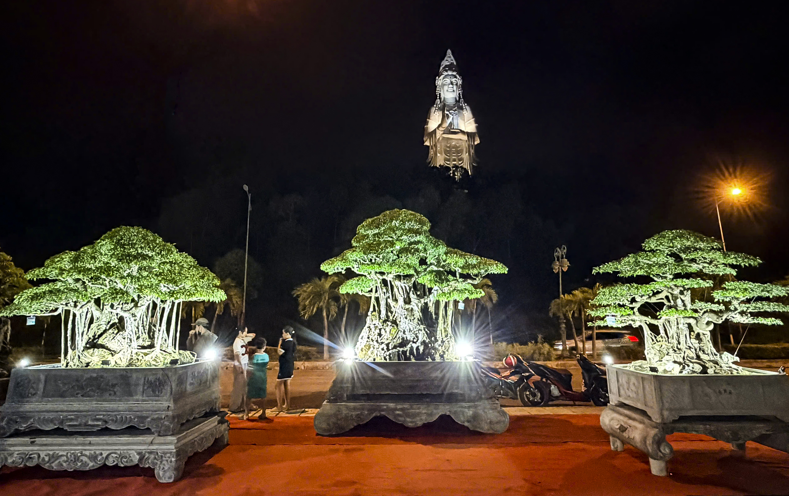 Cây sanh thế rồng độc lạ cao hơn 3 m thu hút tại triển lãm Quảng Ngãi 2026 - Ảnh 3. Cây sanh thế rồng độc lạ cao hơn 3 m thu hút tại triển lãm Quảng Ngãi 2026 - Ảnh 3.