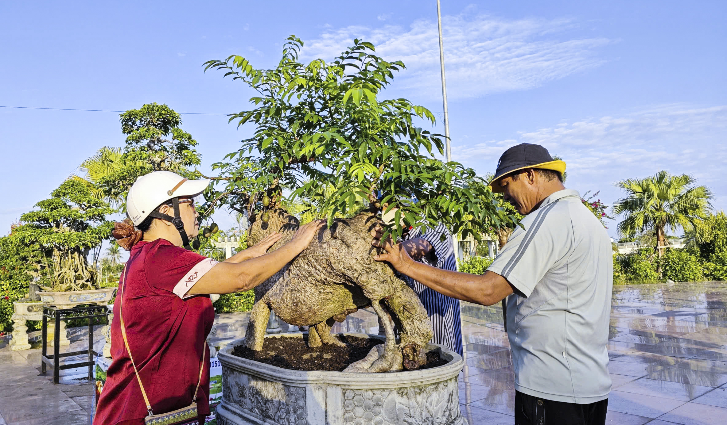 Cây sanh thế rồng độc lạ cao hơn 3 m thu hút tại triển lãm Quảng Ngãi 2026 - Ảnh 11. Cây sanh thế rồng độc lạ cao hơn 3 m thu hút tại triển lãm Quảng Ngãi 2026 - Ảnh 11.