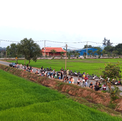 C&aacute;nh đồng l&uacute;a Xu&acirc;n Thới Sơn: Điểm đến check in l&yacute; tưởng cho giới trẻ - Ảnh 2.