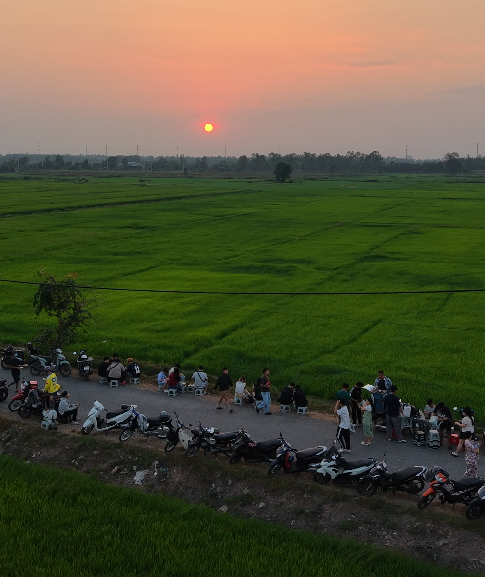 C&aacute;nh đồng l&uacute;a Xu&acirc;n Thới Sơn: Điểm đến check in l&yacute; tưởng cho giới trẻ - Ảnh 3.