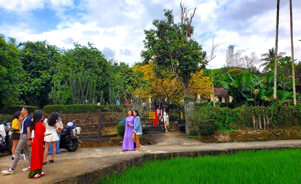 Nườm nượp người t&igrave;m về check-in c&acirc;y mai l&agrave;ng cổ Lộc Y&ecirc;n  - Ảnh 6.