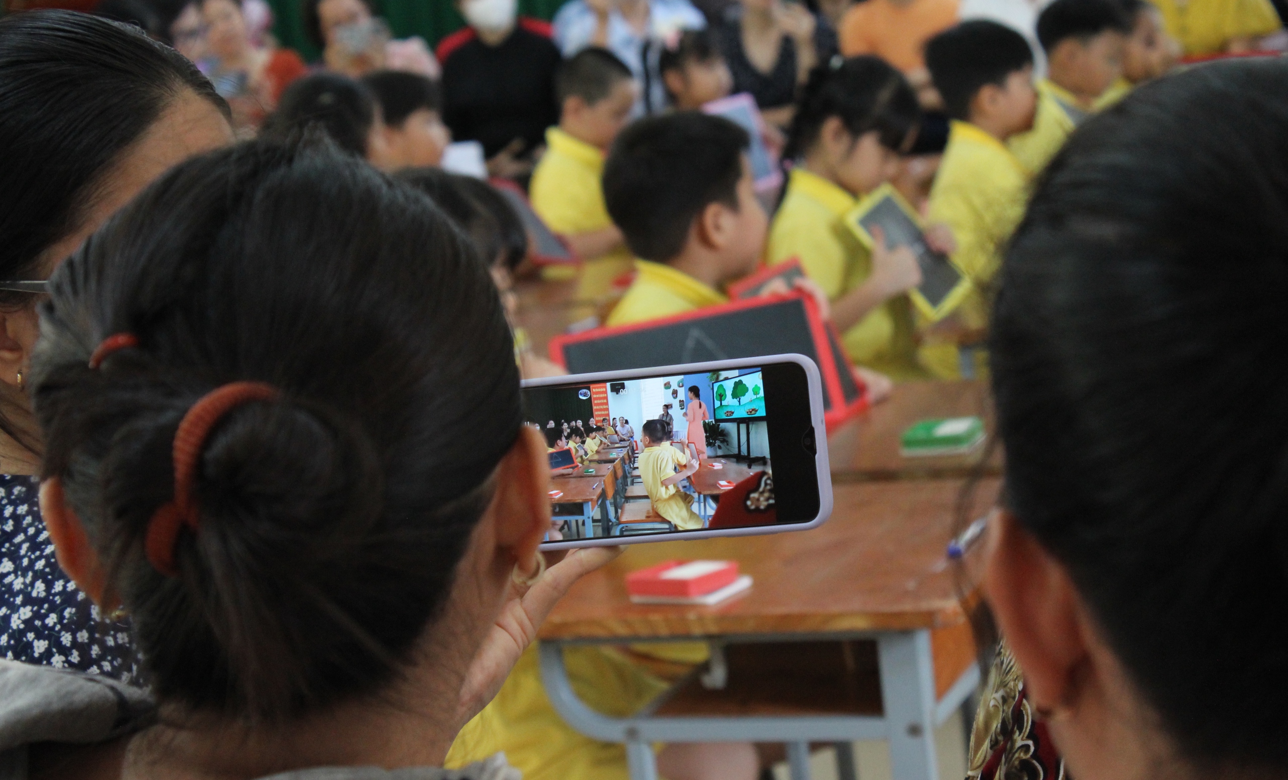 TP.HCM: Chưa học mầm non, xác nhận tuyển sinh vào lớp 1 thế nào? - Ảnh 2.