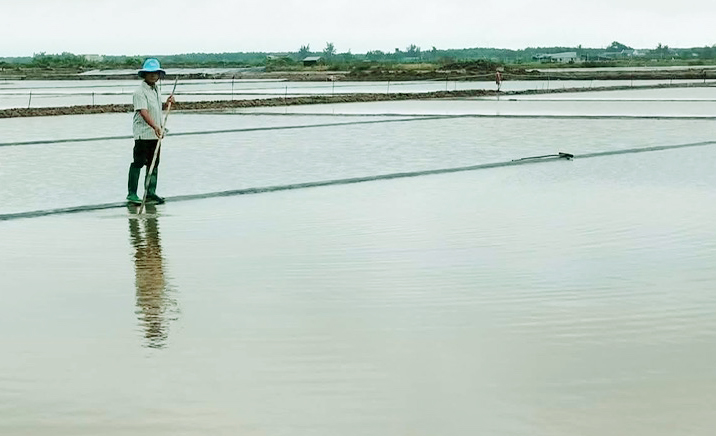 Mưa trái mùa, 9.107 tấn muối ở Cà Mau tan thành nước - Ảnh 1.