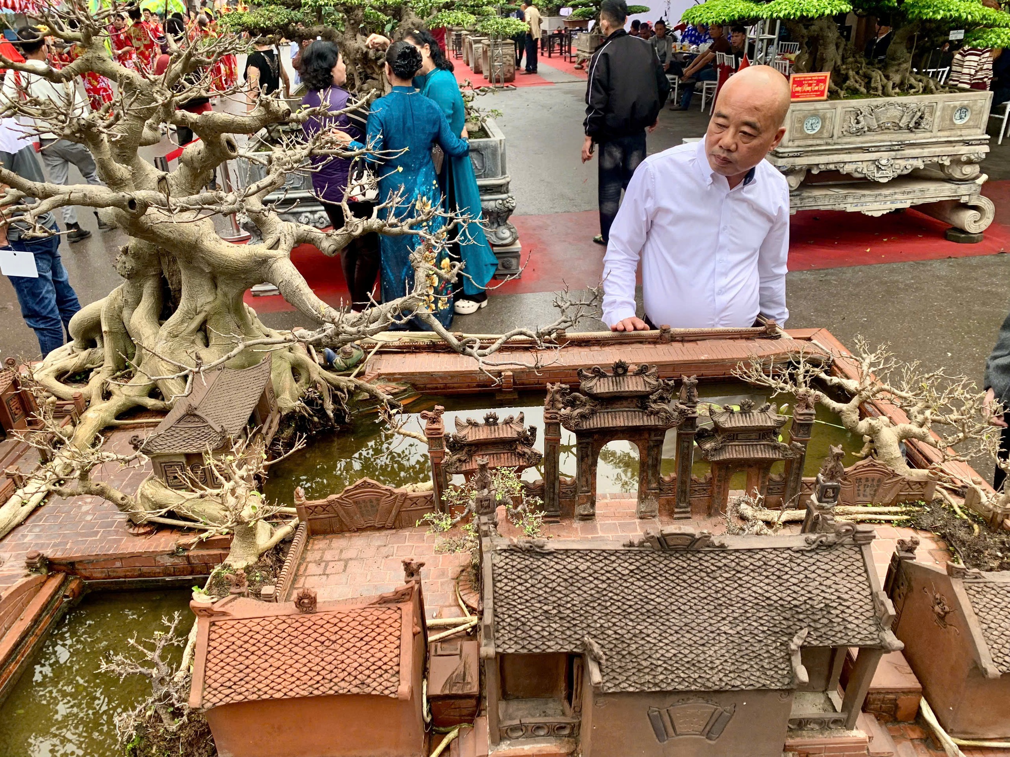 Siêu phẩm 'cây xanh triệu USD' ở triển lãm cây cảnh nghệ thuật làng Triều Khúc- Ảnh 6. Siêu phẩm 'cây xanh triệu USD' ở triển lãm cây cảnh nghệ thuật làng Triều Khúc- Ảnh 6.