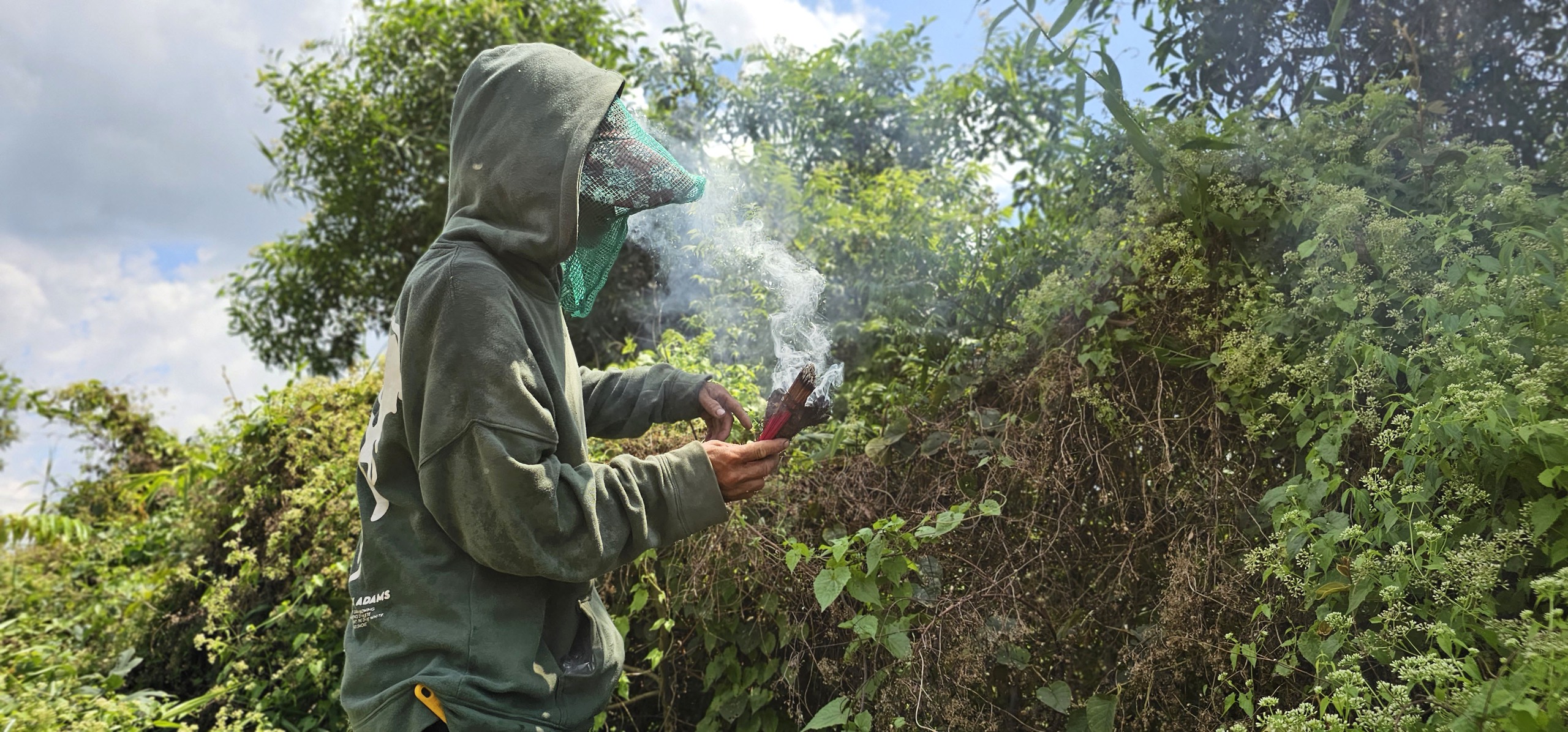 Gian nan và tình người trong nghề bắt ong mật rừng ở Tây Ninh - Ảnh 3.
