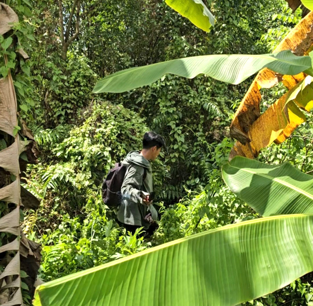 Gian nan và tình người trong nghề bắt ong mật rừng ở Tây Ninh - Ảnh 4.