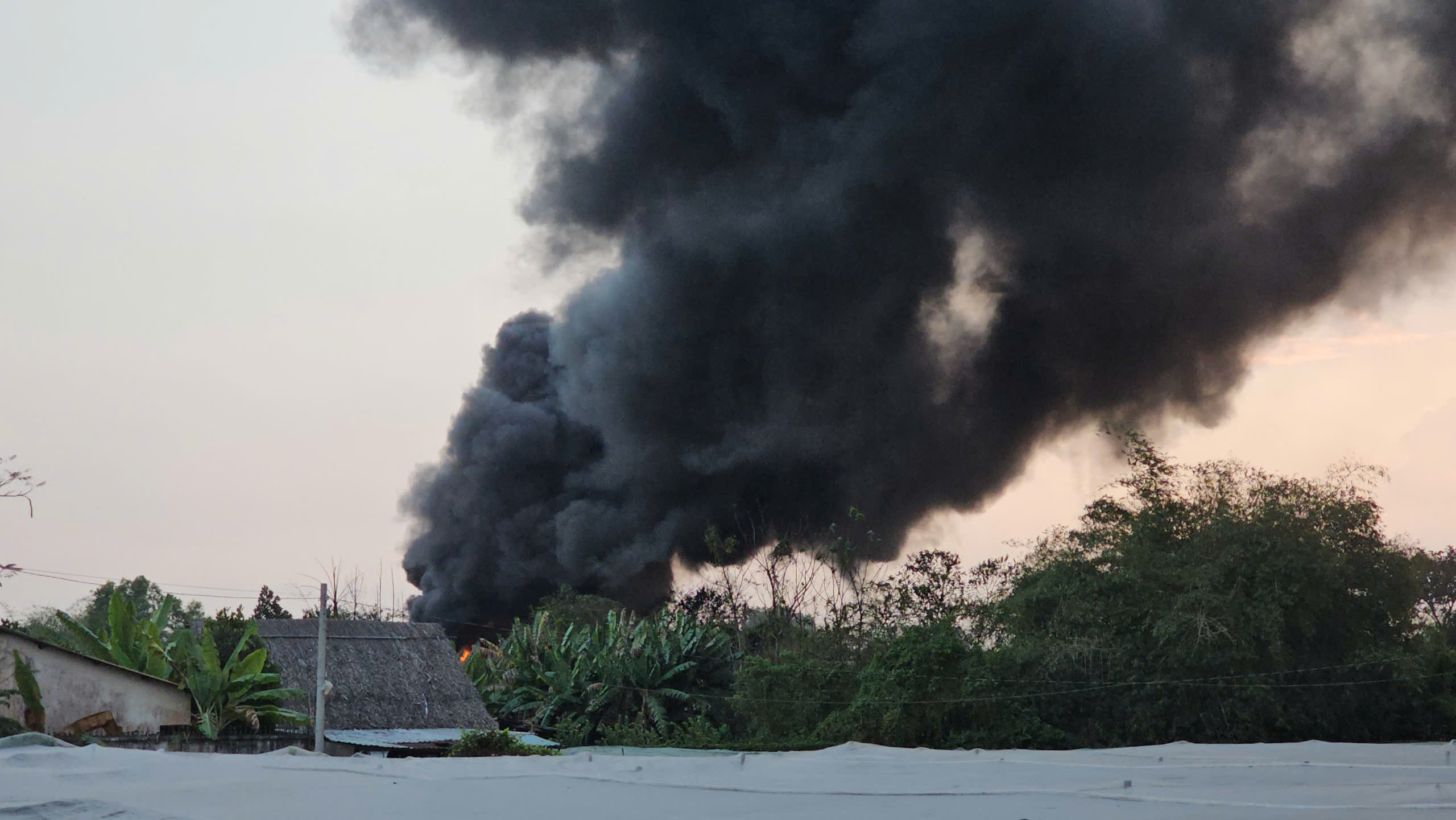 TP.HCM: Nỗ lực dập tắt vụ cháy kho nệm tại xã Củ Chi- Ảnh 2.